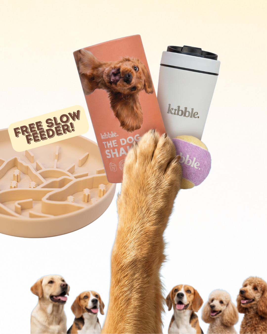 The Dog Shake Bundle
