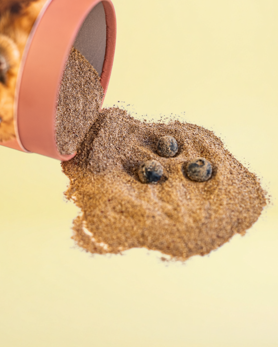 The Dog Shake