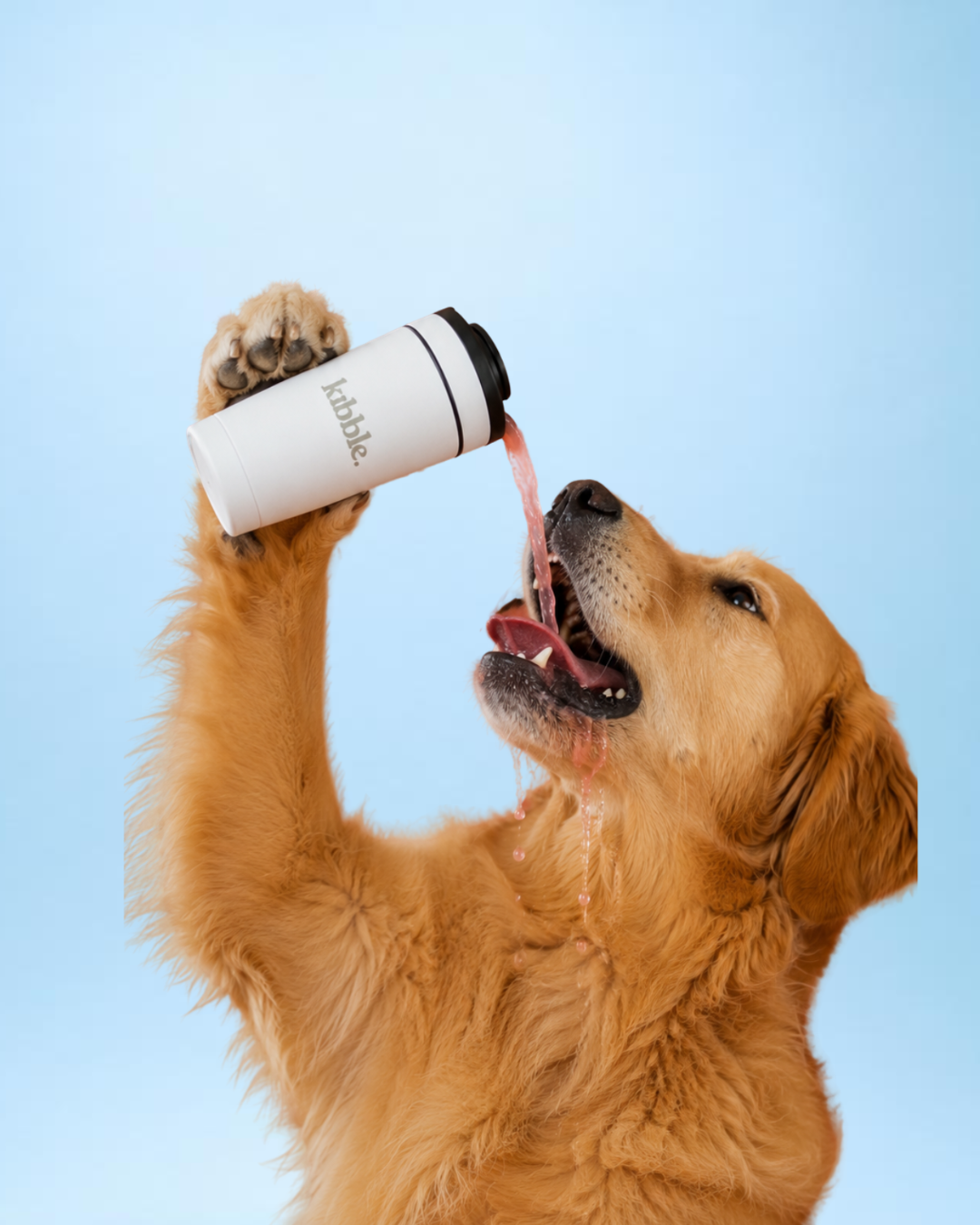 The Dog Shake Starter Kit