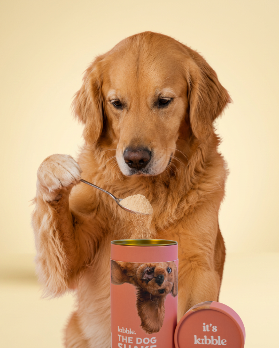 The Dog Shake