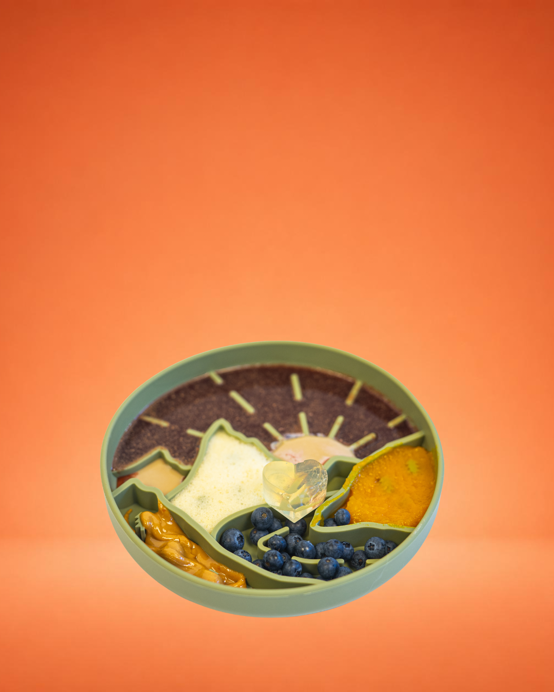 Slow Feeder Bowl