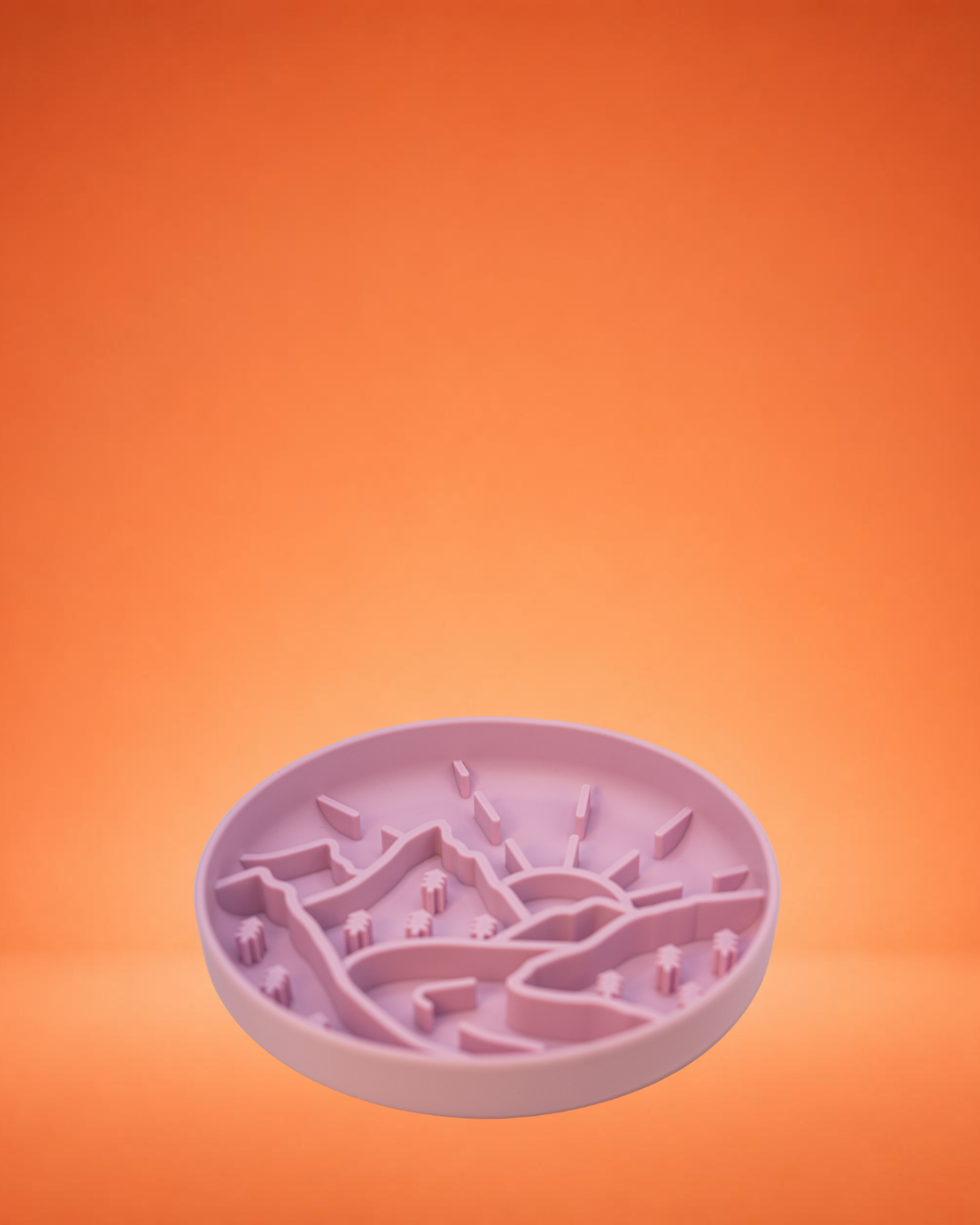 Slow Feeder Bowl