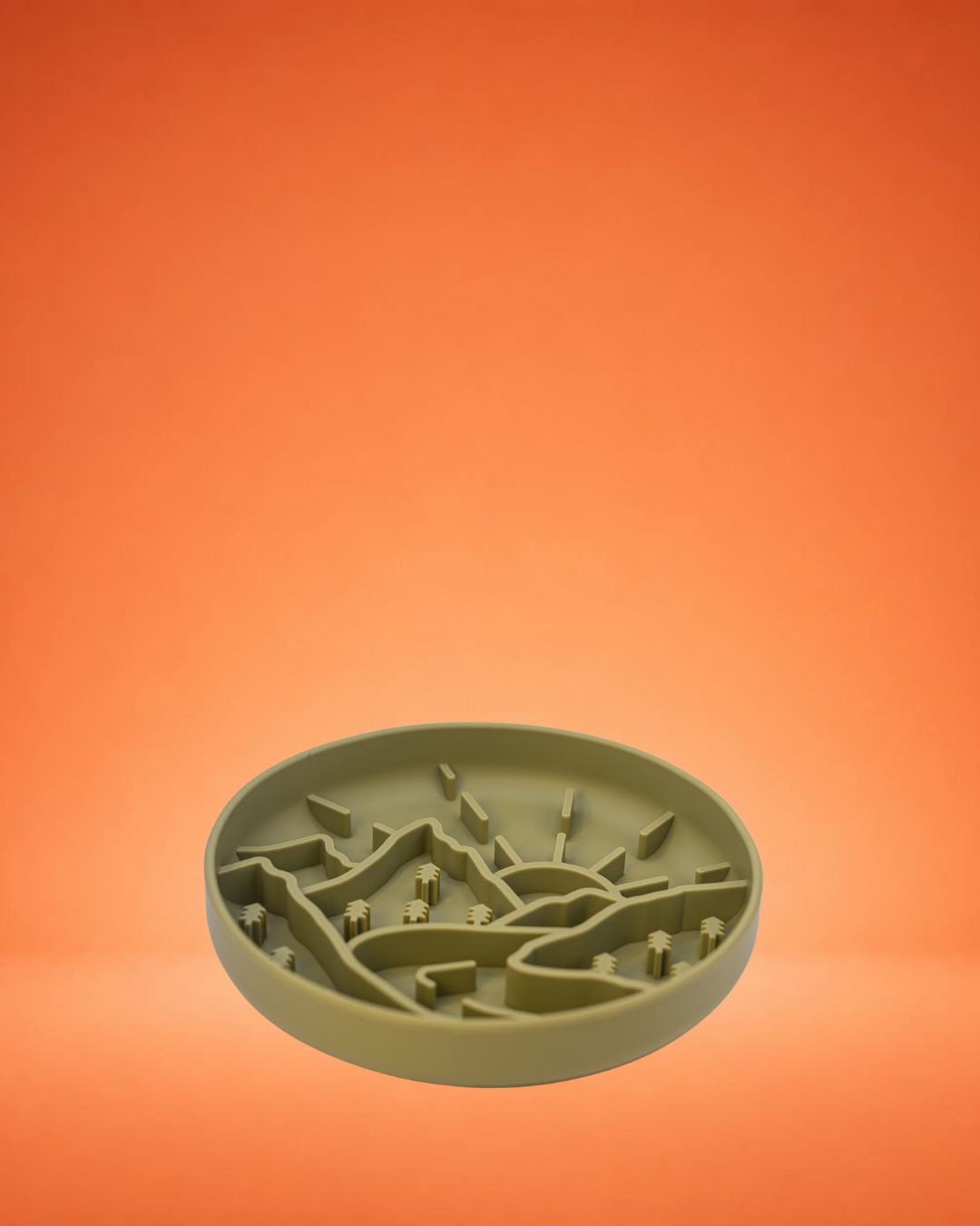 Slow Feeder Bowl