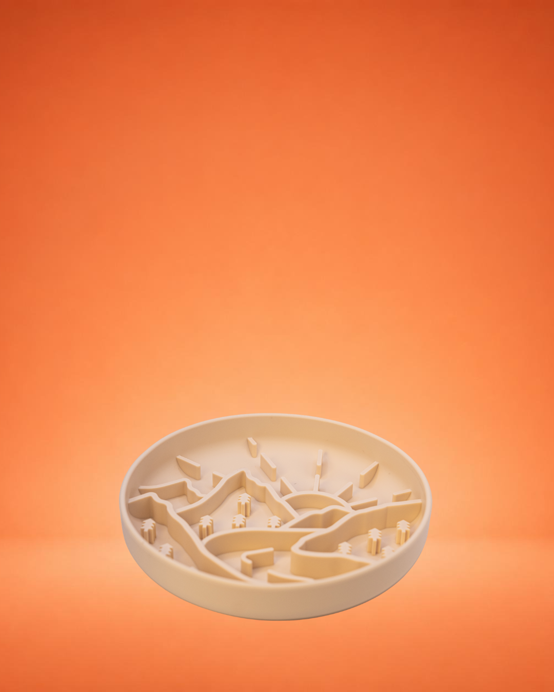 Slow Feeder Bowl